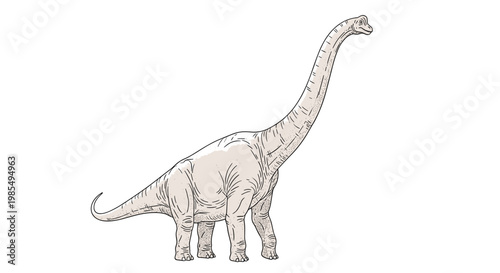 Majestic brachiosaurus dinosaur standing tall with its iconic long neck and tail in a detailed line art sketch for science and history.