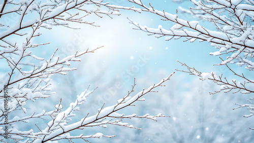 Close-up of bare tree branches with fresh snow against blue winter sky