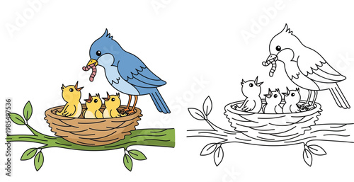 Cute Blue Bird Feeding Worm to Hungry Chicks in a Nest on Tree Branch Illustration and Coloring Page Outline for Kids Vector Graphic