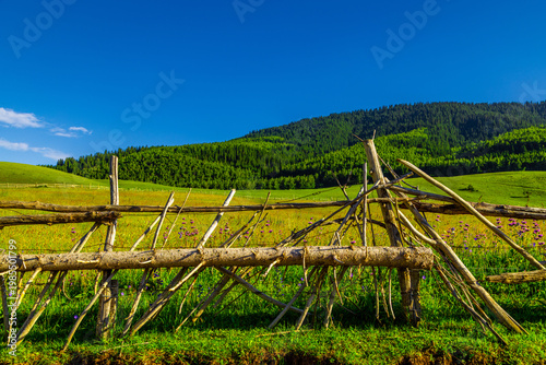 Rustic wooden fence with wildflowers in serene rural landscape