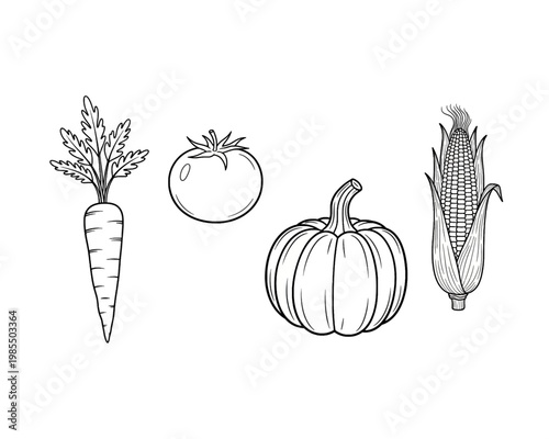 Black and white vector illustration set showcasing a fresh carrot, round tomato, autumn pumpkin, and tall ear of corn