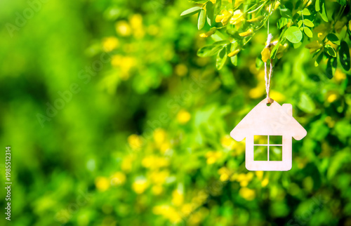 Wallpaper Mural The symbol of the house among the branches of the yellow acacia
 Torontodigital.ca