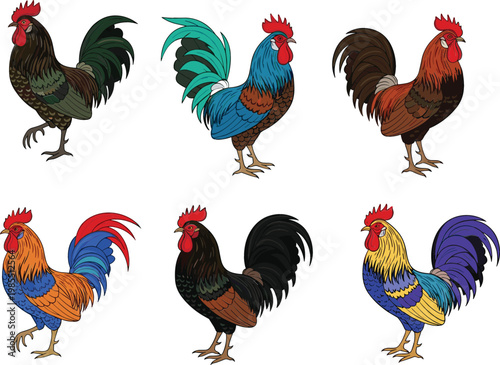 Colorful Rooster Collection Set with Hand Drawn Farm Chicken Illustrations Isolated on White Background for Decorative Vector Design