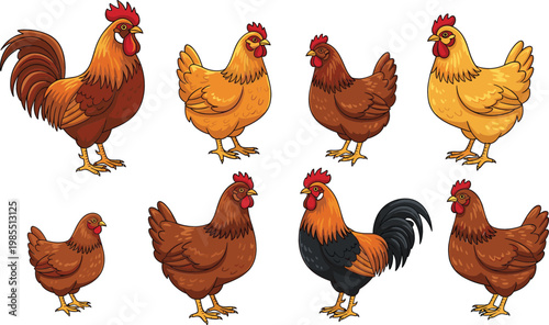 Farm Chicken Collection Set with Rooster and Hen Cartoon Poultry Birds Isolated on White Background Vector Illustration