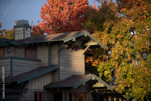 Photography House surrounded by autumn foliage