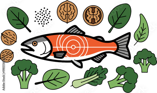 Healthy superfood vector illustration with salmon fish, walnuts, broccoli and spinach. Nutritious keto diet ingredients, fresh organic seafood and vegetables.