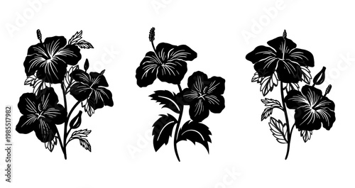 Silhouette tropical black hibiscus vector flowers set. Floral monochrome illustration decal, decor, clipart, poster, sticker, template. Tea hibiscus.