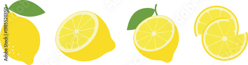 Lemon fruit collection with whole and sliced citrus pieces, fresh organic food vector illustration set