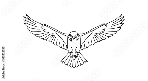 A bird takes flight with outstretched wings in a natural setting outdoors.