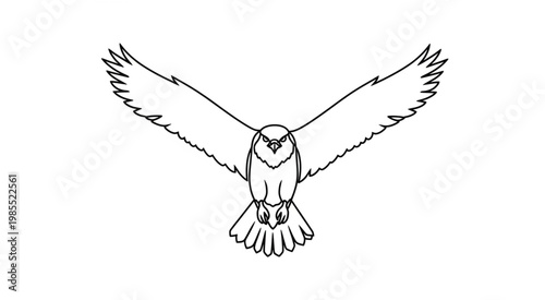 An owl is flying with outstretched wings in the air outdoors
