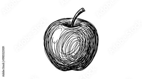 Black and white vector illustration of a single apple