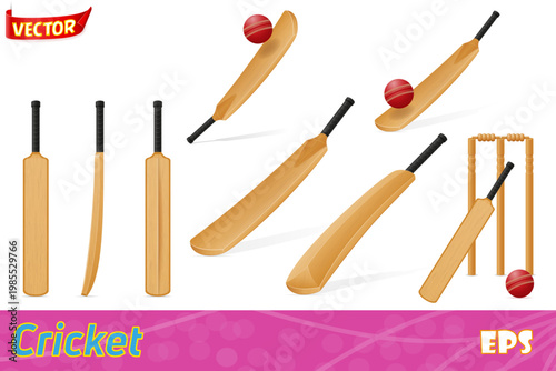 cricket equipment bat ball and wicket set icons vector illustration