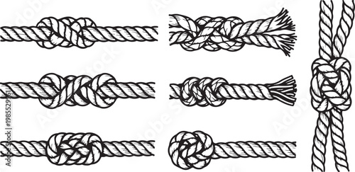 Intricate line drawings of different types of braids and hairstyles Vector
