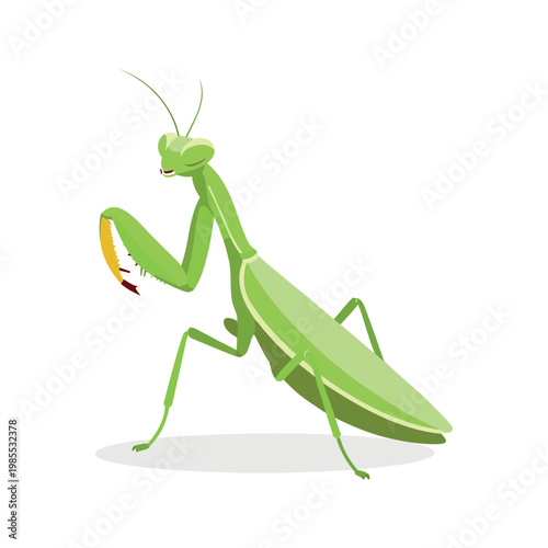 Cartoon praying mantis standing up with its forelegs raised on a white background