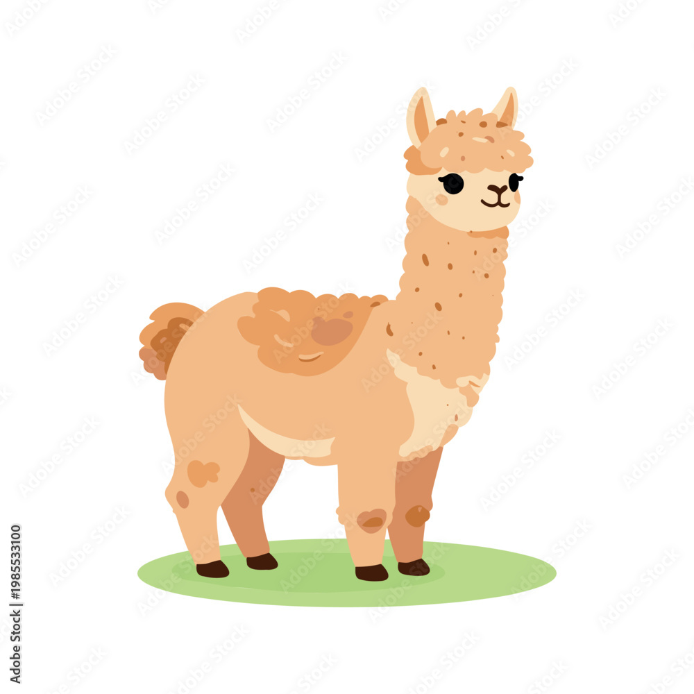 Fototapeta premium Cute cartoon llama stands on a patch of green grass in simple illustration