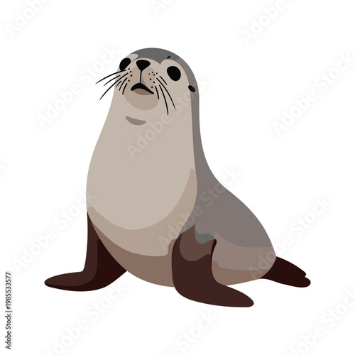 Adorable seal pup sitting upright and looking up curiously on white background