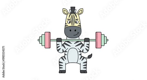 Cartoon zebra weightlifting with barbell in squat position cute animal fitness vector illustration on clean white background