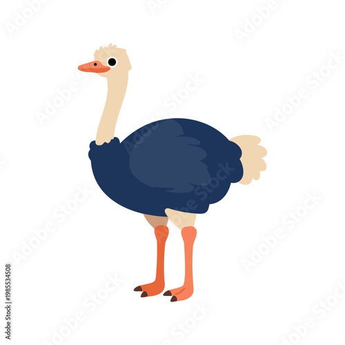 Cartoon ostrich illustration on a white background in a flat design style