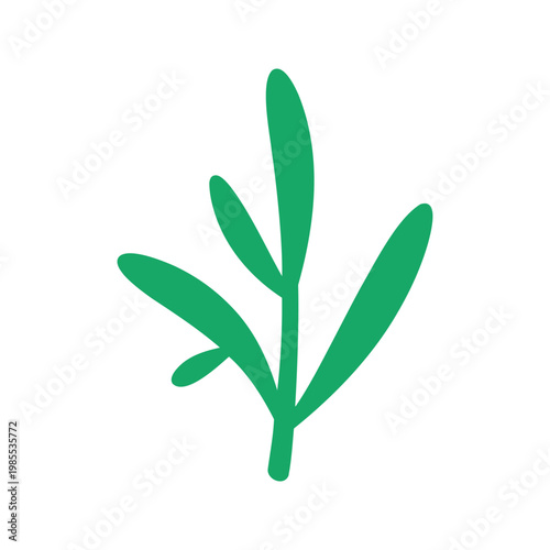 Simple illustration of a green rosemary sprig isolated on a white background