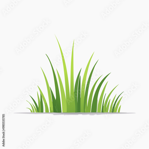 Vibrant Green Grass Blades illustration on a Plain White Background