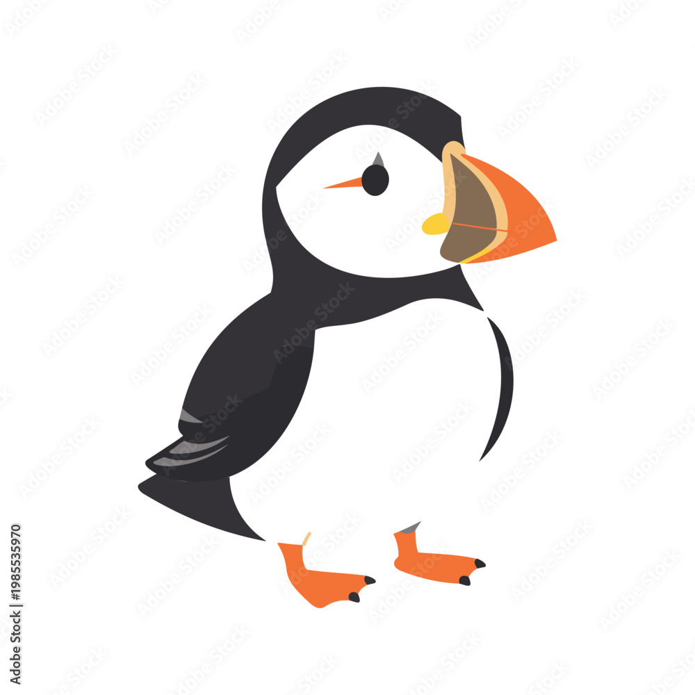 Fototapeta premium Atlantic puffin illustration with orange beak and feet on a white background