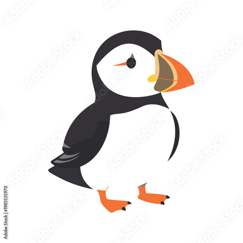 Atlantic puffin illustration with orange beak and feet on a white background