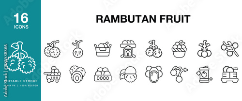 Rambutan Fruit icon set. Includes rambutan, fruit, tropical, red, hairy, fresh, ripe and More. Editable Stroke Icon Collection.