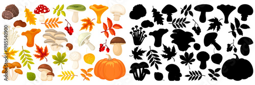 Vector set of colorful cartoon mushrooms. A collection of various types of fresh autumn forest plants with stems and caps for botany education. Seasonal natural organic products 