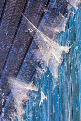 Delicate spider webs stretch across aged, blue-painted wooden boards, catching the light. The scene evokes quiet decay, forgotten places, and natural stillness