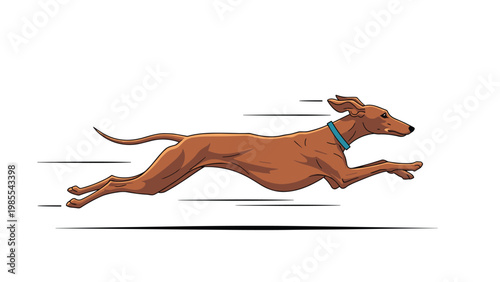 Fast brown greyhound dog running at high speed with its body stretched out and motion lines indicating rapid movement on a white background.