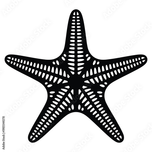 Detailed black starfish illustration with intricate patterns and a striking silhouette high quality