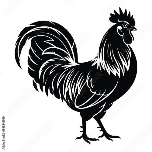 A striking black rooster stands proudly its detailed form presented as a silhouette