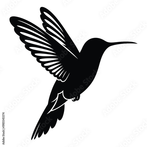 A dynamic black hummingbird in flight wings spread wide a striking silhouette
