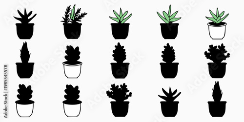 Collection of potted plants in varying shapes and sizes black and white