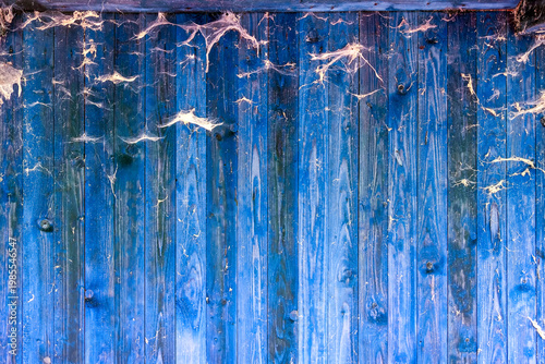 Aged blue wooden wall covered in fragile, dusty cobwebs. The decaying surface and web patterns evoke silence, abandonment, and the beauty of natural deterioration