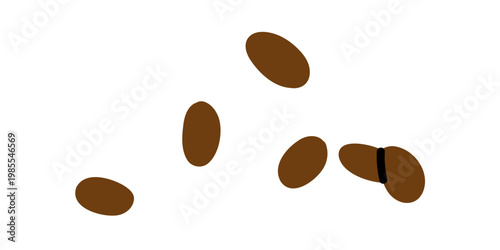 Vector gardening illustration of brown seed with one split in minimalist flat style. Seeds element suitable for botanical, gardening, food packaging and eco design. Agriculture, farm clipart.
