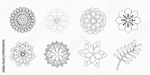 Collection of hand drawn floral designs in black and white linework