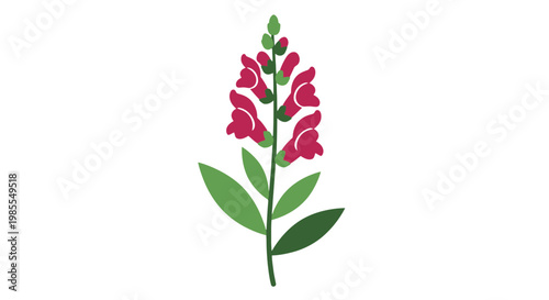 Pink Flowering Plant with Green Leaves.