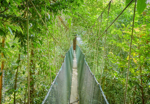Rainforest canopy walkway, Borneo, Sabah, Malaysia.