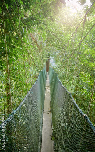 Rainforest canopy walkway, Borneo, Sabah, Malaysia.