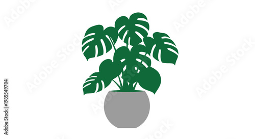 Potted Monstera Deliciosa Plant Illustration.