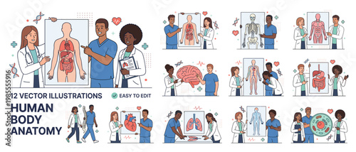 Human Body Anatomy Medical Vector Illustration Set – 12 Diverse Doctors and Patients with Organs Brain Heart Skeleton and Body Systems