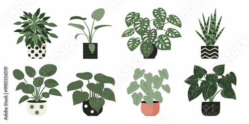 Collection of various potted houseplants arranged in a grid pattern