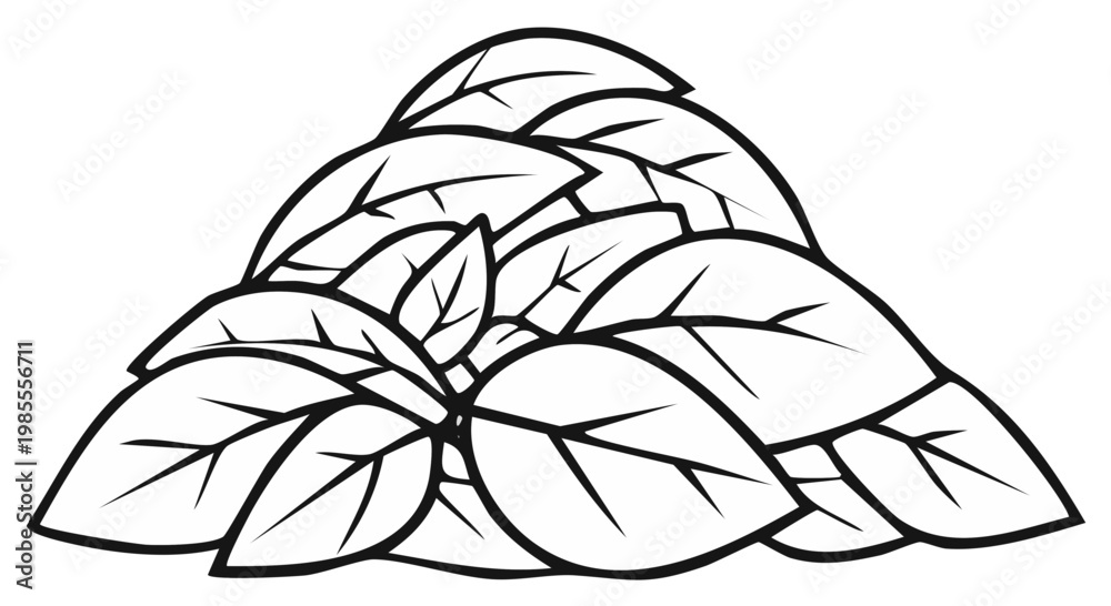 custom made wallpaper toronto digitalStylized outline illustration of a vibrant cluster of fresh basil leaves arranged in a mound.