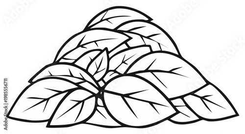 Wallpaper Mural Stylized outline illustration of a vibrant cluster of fresh basil leaves arranged in a mound. Torontodigital.ca