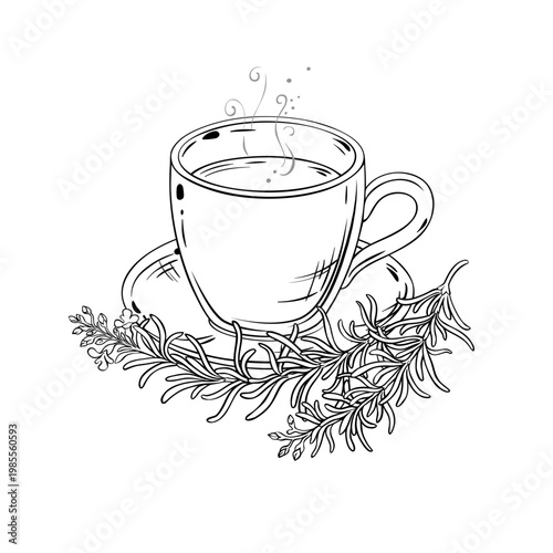 Rosemary Tea in Teapot aroma beverage Outline Illustration. Vector isolated for Design and Decoration for Cafeteria, Posters, Banners, Cards.