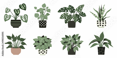 Collection of potted houseplants in a minimalist botanical illustration style