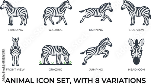 Zebra animal icon set featuring 8 variations including standing, walking, running, grazing, jumping, front view, side view, and head icon. Flat vector illustration with clean lines on white background