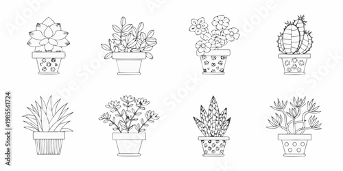 Collection of hand drawn cacti and other potted plants in a line