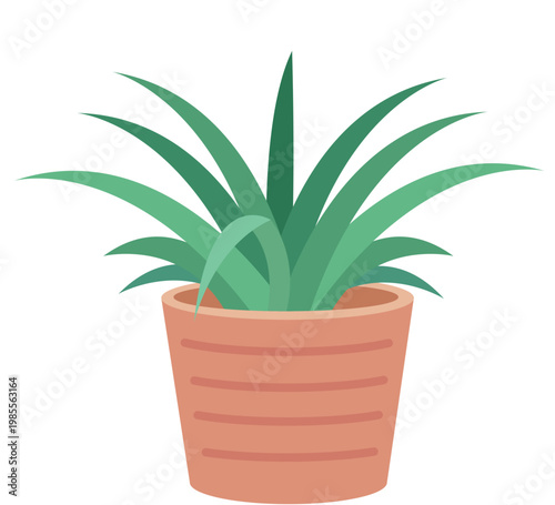 green potted plant
